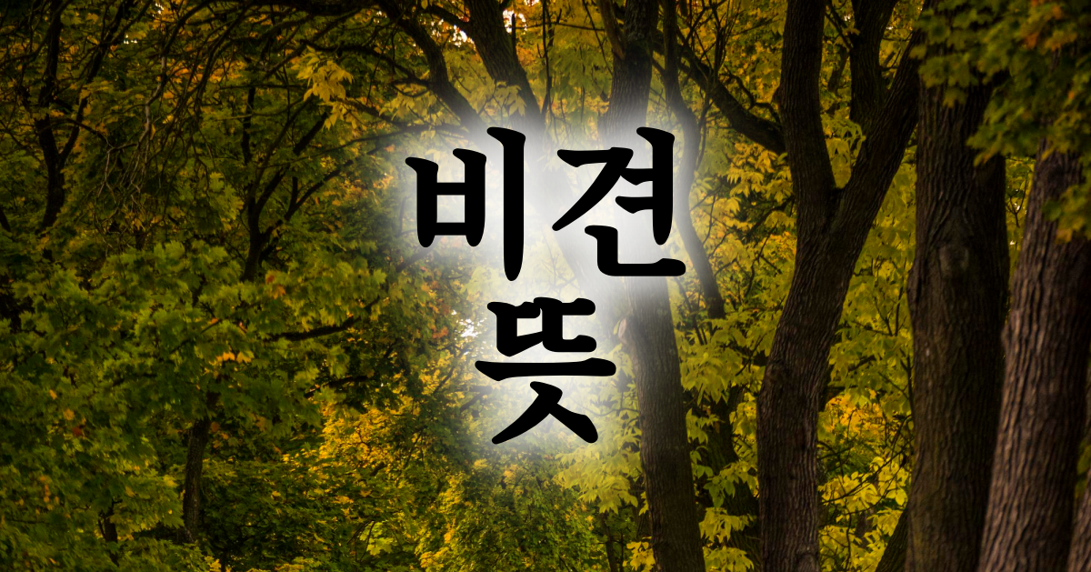 비견 뜻 사주 초보자도 알기 쉬운 설명