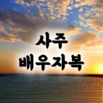 사주 배우자복