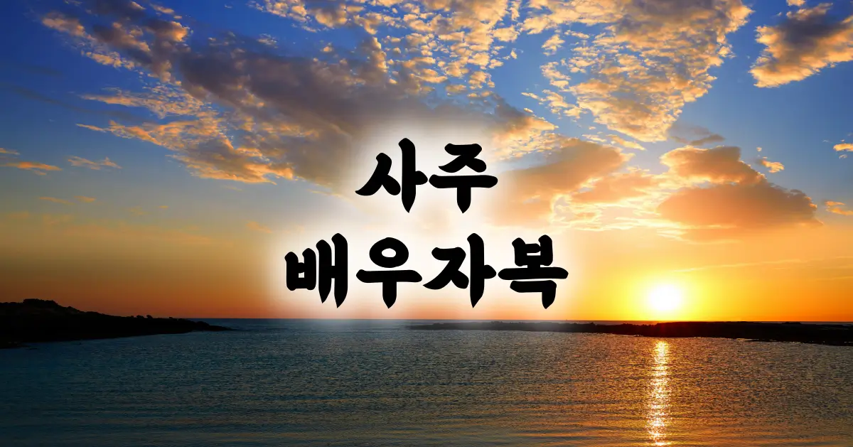 사주 배우자복