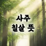 사주 칠살이란 무엇인가 뜻과 장단점