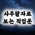 사주팔자로 보는 직업운